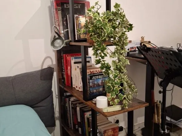 Colocation avec une petsonne sans enfant