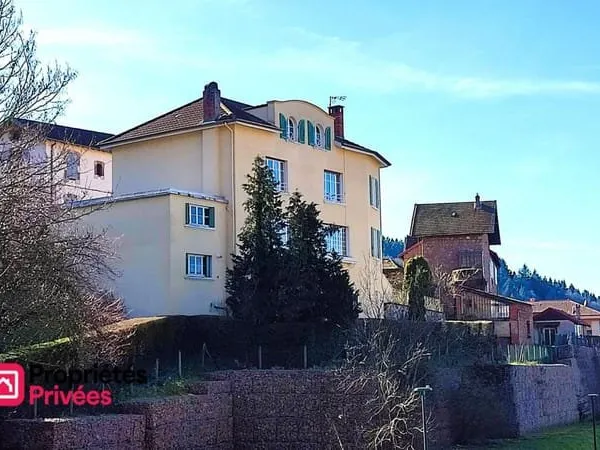 THIZY-LES-BOURGS (69240) Maison de bourg 320 m² , jardin, dépendances et garage
