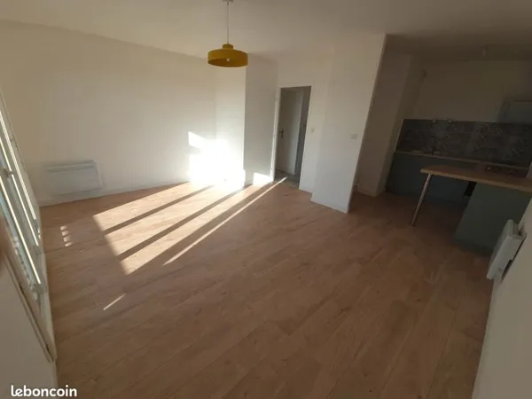 Appartement T2 45 M2 rénové + grand balcon