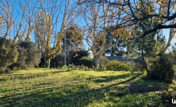 Terrain 299 m² Maussane Les Alpilles