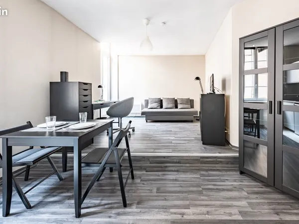 Grand studio meublé (avec lave-linge) en centre-ville