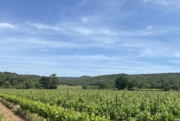 Terrain 1400 m²
