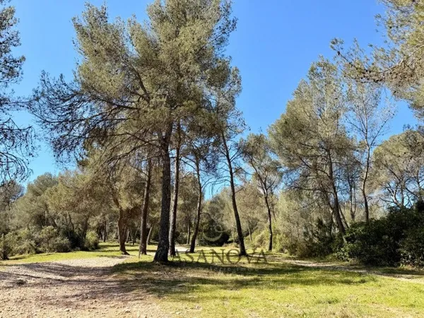 Terrain de loisir 7355 m²