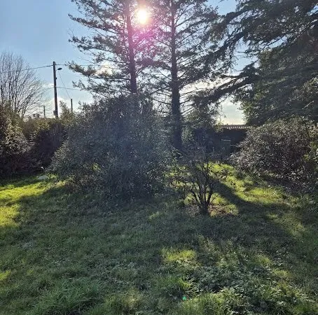 Terrain 572 m²