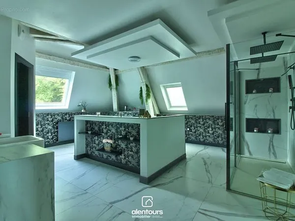 Appartement LIVERDUN 4 pièce(s) 165 m2