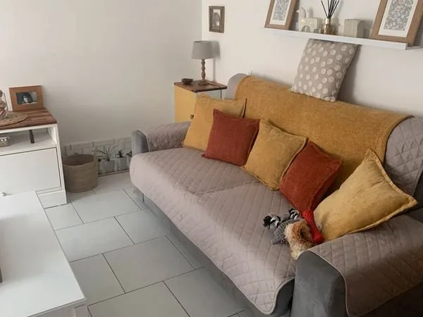 Location appartement 55m2