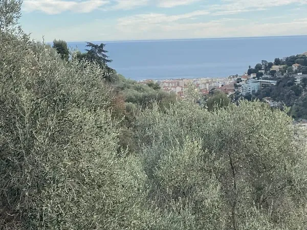 Nice - Corniche de Magnan : maison familiale lumineuse avec vue mer et grand jardin
