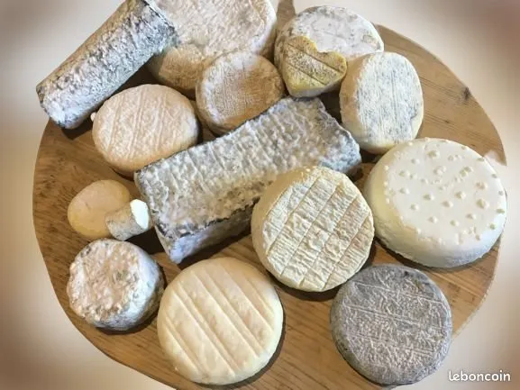 Cession totale ou partielle activités caprin lait fromager
