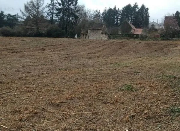 Terrain 1000 m²