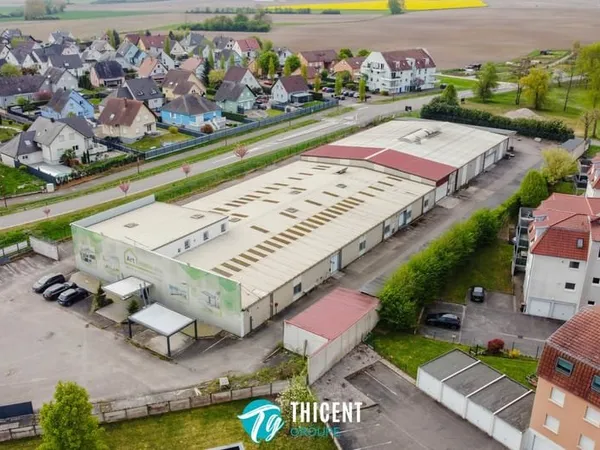 Local d'activité 3140 m2 - Soufflenheim