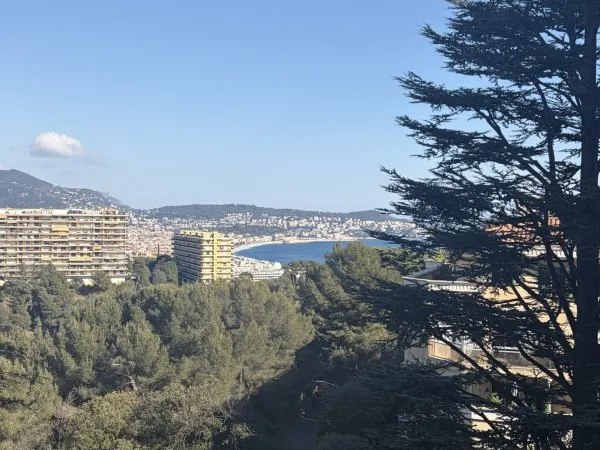 Appartement 3 pièces 49 m²