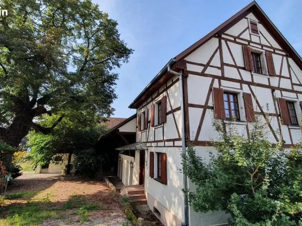 Maison 8 pièces 256 m²