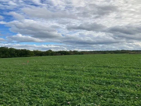 Terrain constructible 1890 m²