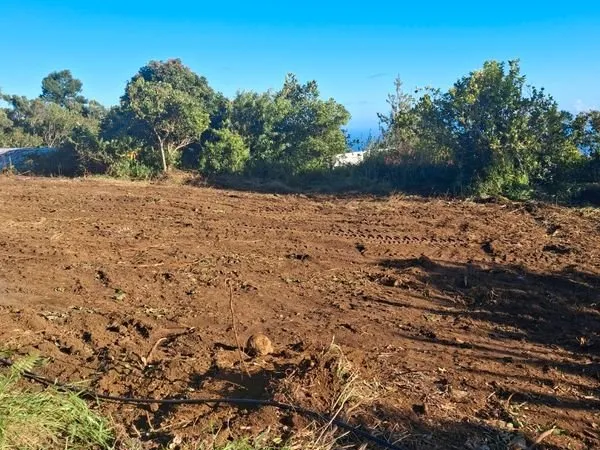 Terrain à vendre 600 m2