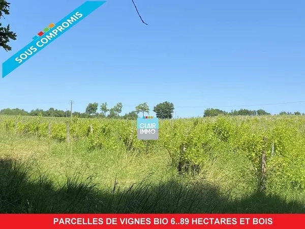 Parcelles de vignes bio et terrain boisé 6.89 hectares dans le