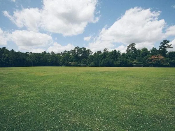 Terrain 800 m²