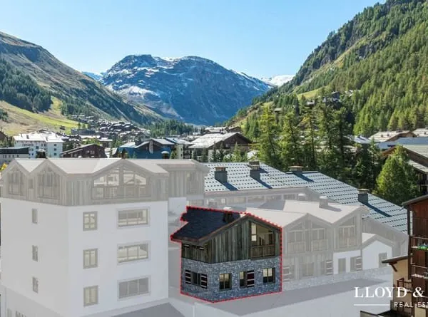 Magnifique duplex