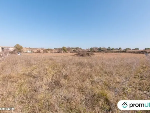 Terrain agricole 5 000 m² Lunel Viel