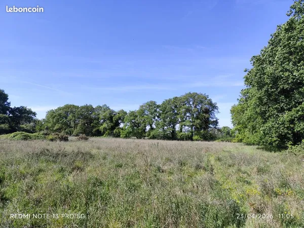 TERRAIN 6500 m2