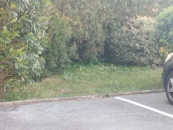 Place de parking