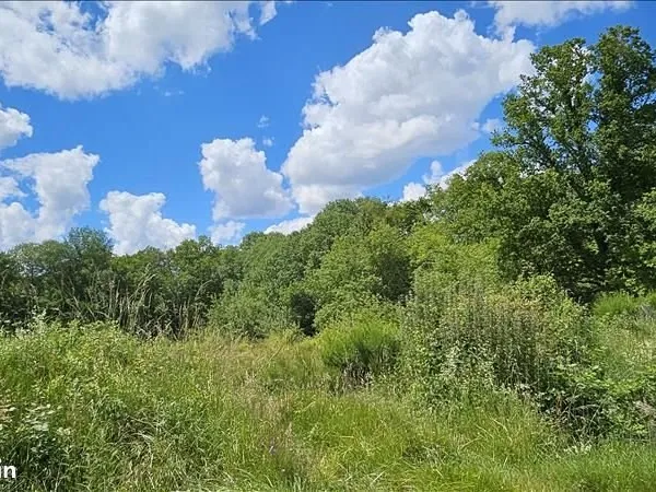 Forêt 15 293 m² Orcay