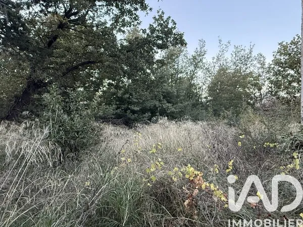 Terrain 803 m²