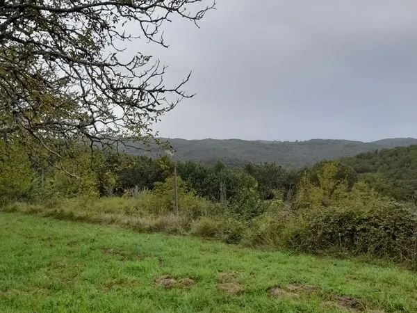 Terrain constructible 6000m2 ,rare à la vente, avec projet de maison de 100m2