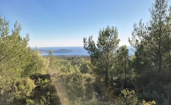 Terrain 26210 m²