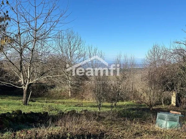 Ferme de charme rénovée - 5 ch - Parc 6000m² - Vollore-Ville