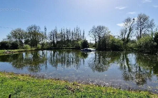 Terrain 3570 m²