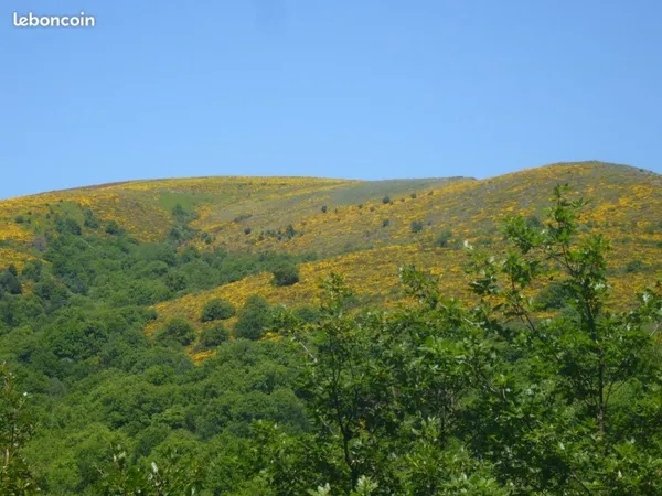 Terrain agricole avec vue