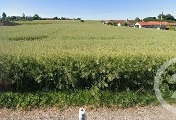 Terrain 555 m²