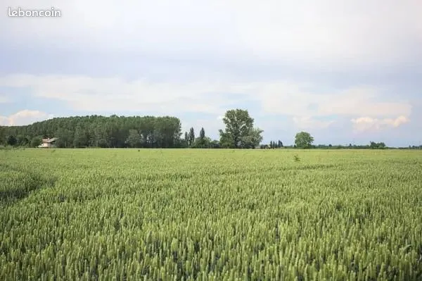 Terrain 650 m² Ploemeur