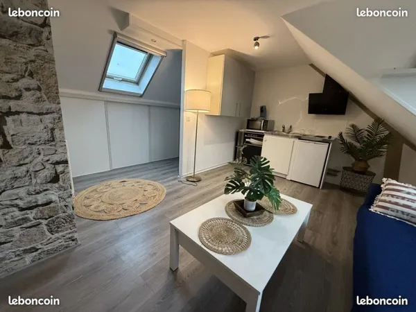 🏠 Usage PRO: Studio 27m2 Hyper Centre à Pont l'évêque 🏠