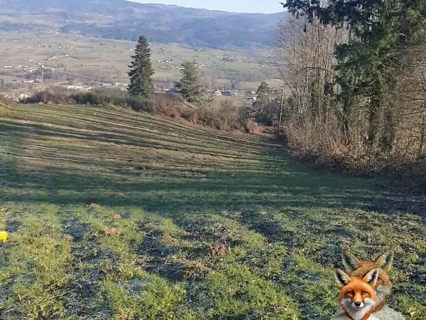 Terrain Saint Ferreol Des Cotes 3248 m2