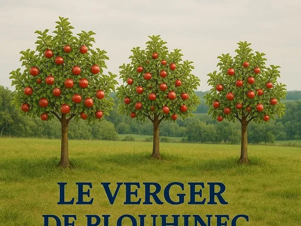 Terrain 439 m² PLOUHINEC