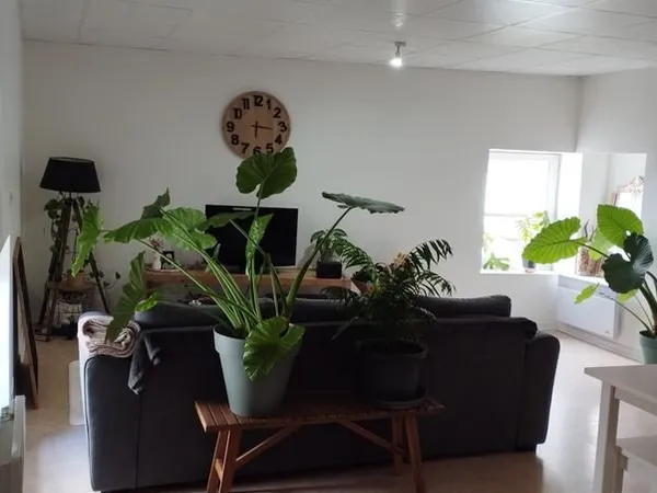 Appartement proche de Niort