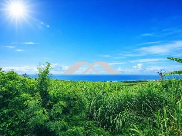 Terrain 1640 m² Sainte Marie