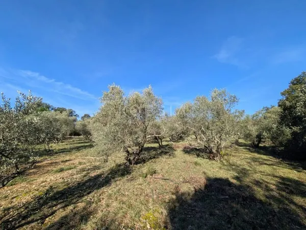 Terrain constructible 2000 m²