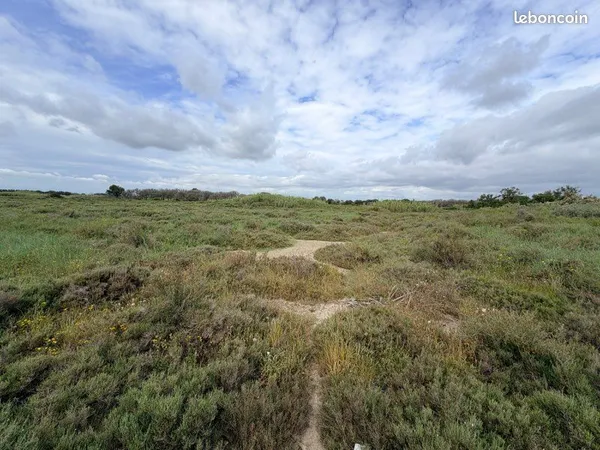 Terrain agricole