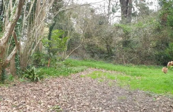 Terrain 1172 m²