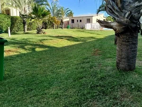 Appartement meublé à louer