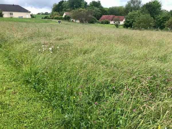 Terrain 2250 m²