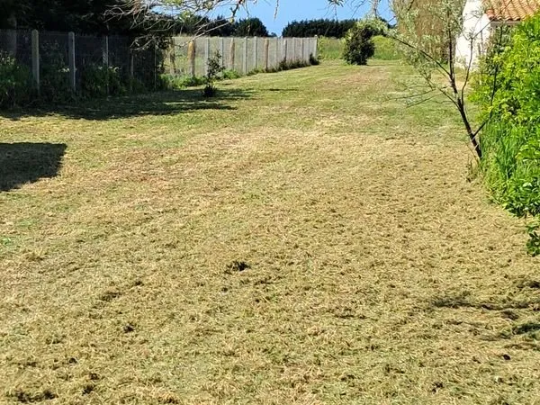 Terrain 605 M²
