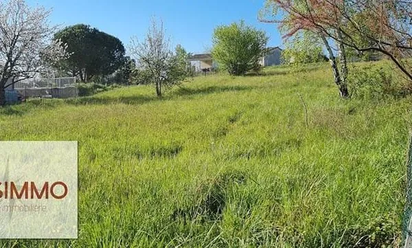 Terrain 2805 m²