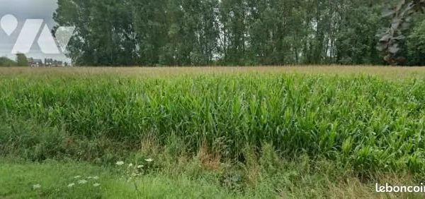 Terrain 664 m² DOUAI
