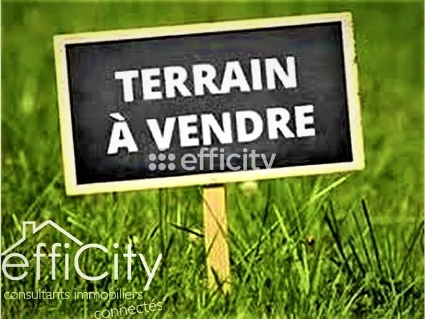 Terrain 650 m²