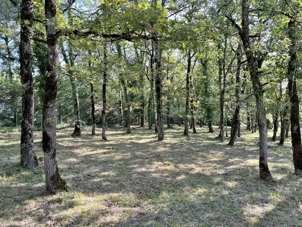 Terrain à bâtir Vente Villefranche-de-Rouergue  1536m² 36000€