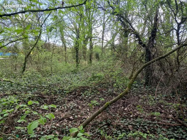 Terrain constructible