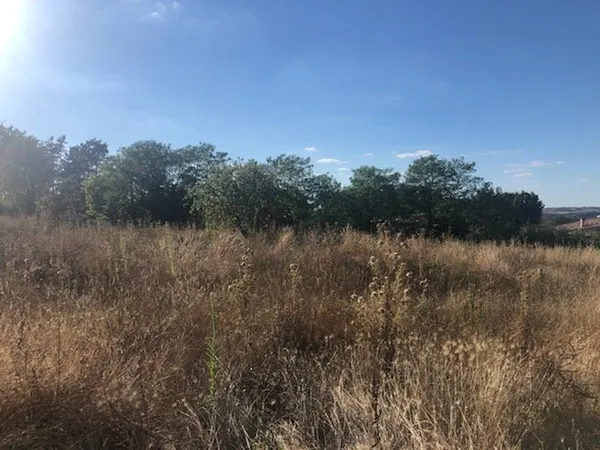 Terrain Albi
